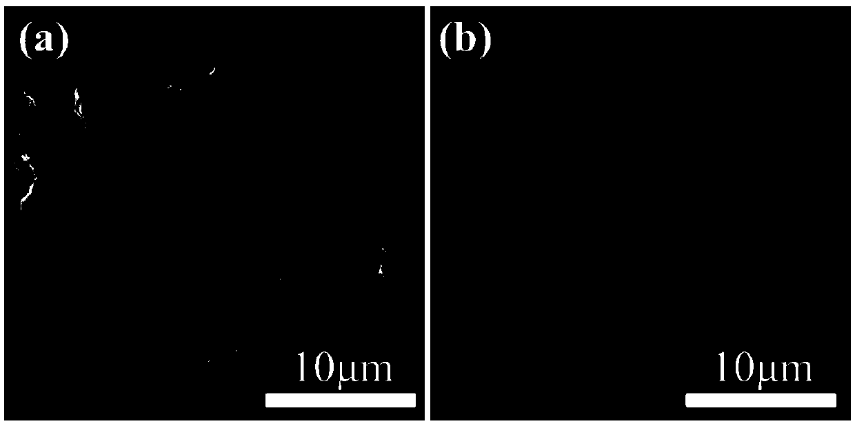 Lithium metal battery, negative electrode, electrolyte and preparation of negative electrode