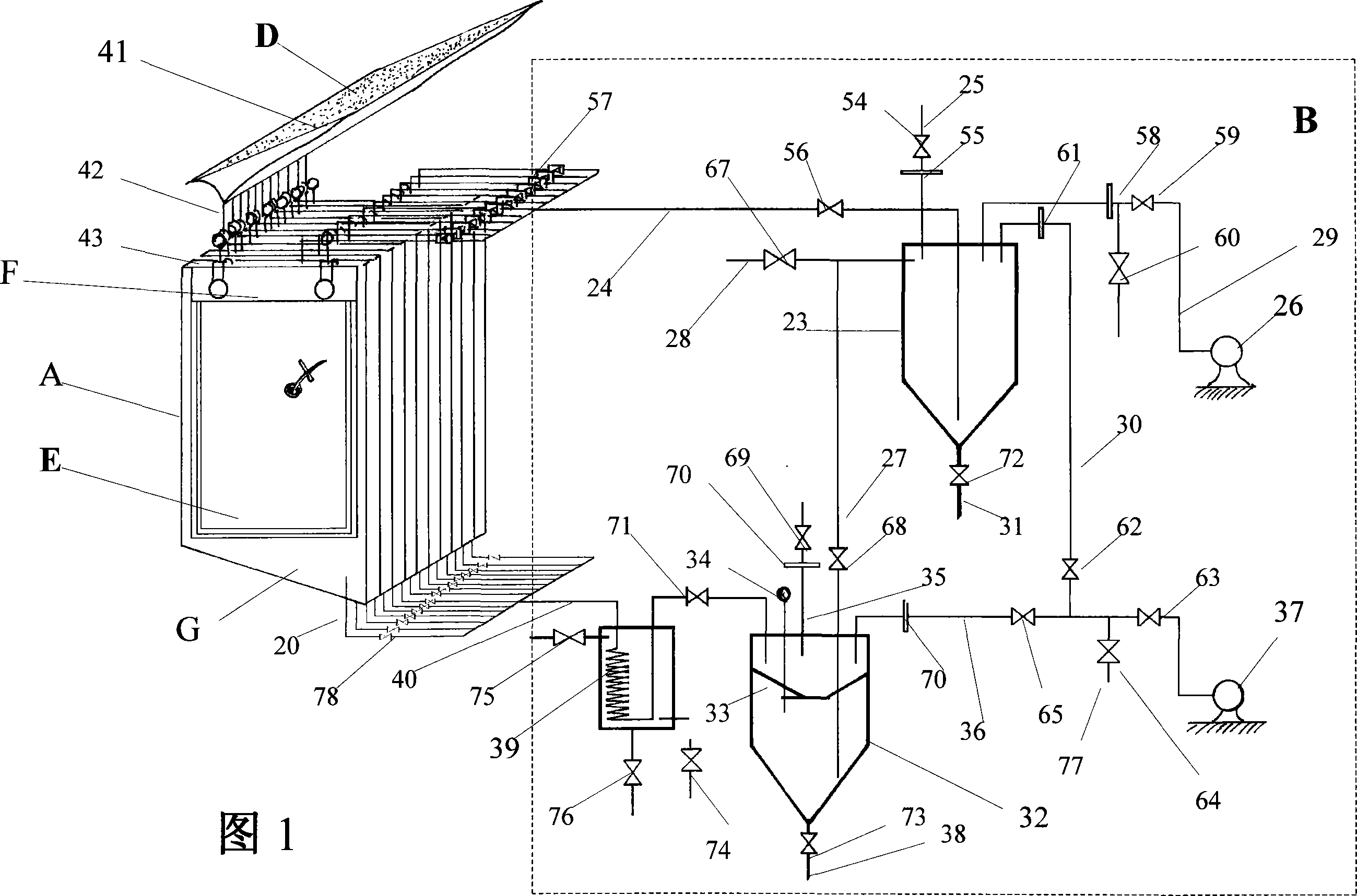 Curtain-shape anchoring culture bioreactor and method for culturing plant cell, tissue or organ using the same