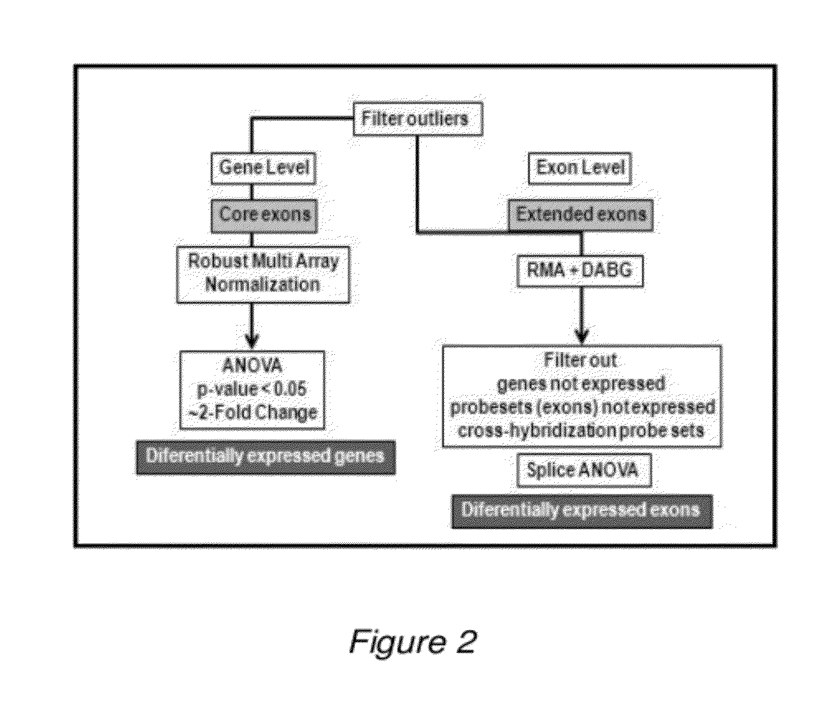 Methods for diagnosing follicular thyroid cancer