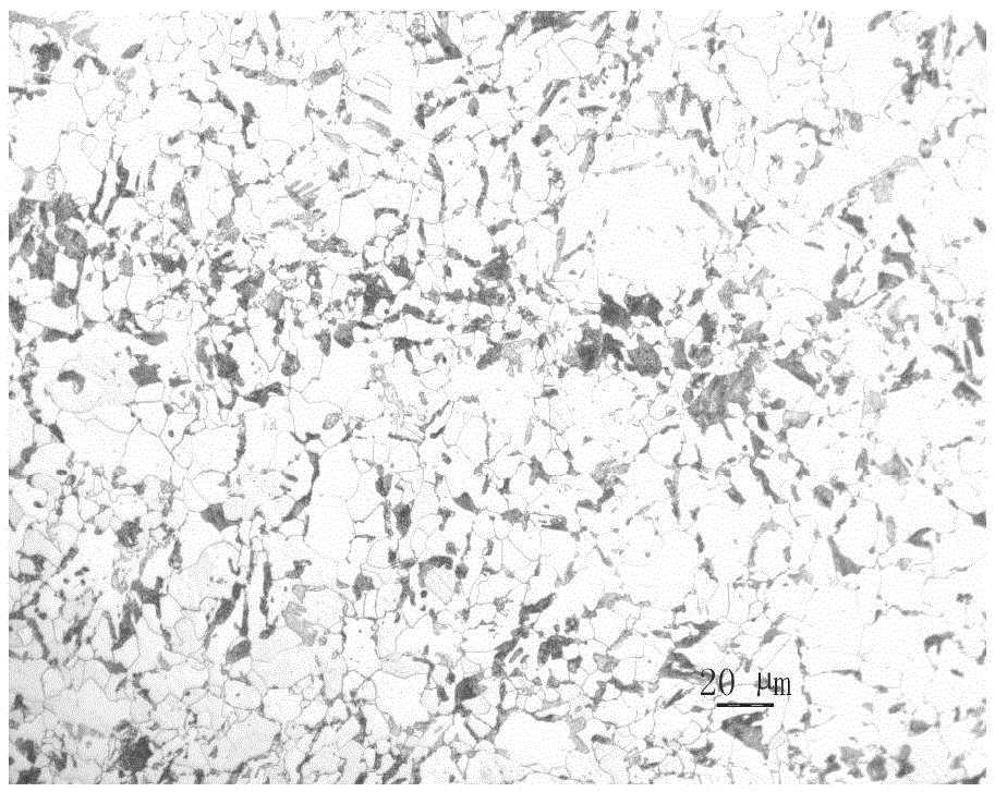 Rare earth treated normalized Q460GJ steel plate for buildings and production method of steel plate