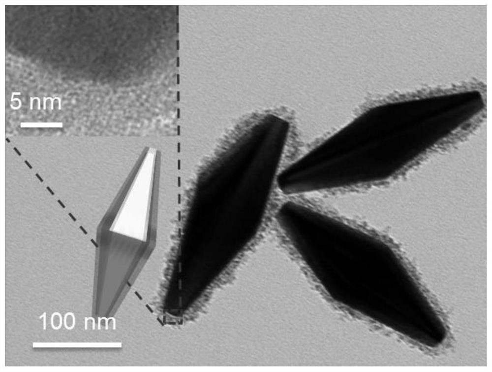 A nano-drug that triggers tumor immunogenic death by near-infrared light and its preparation method and application