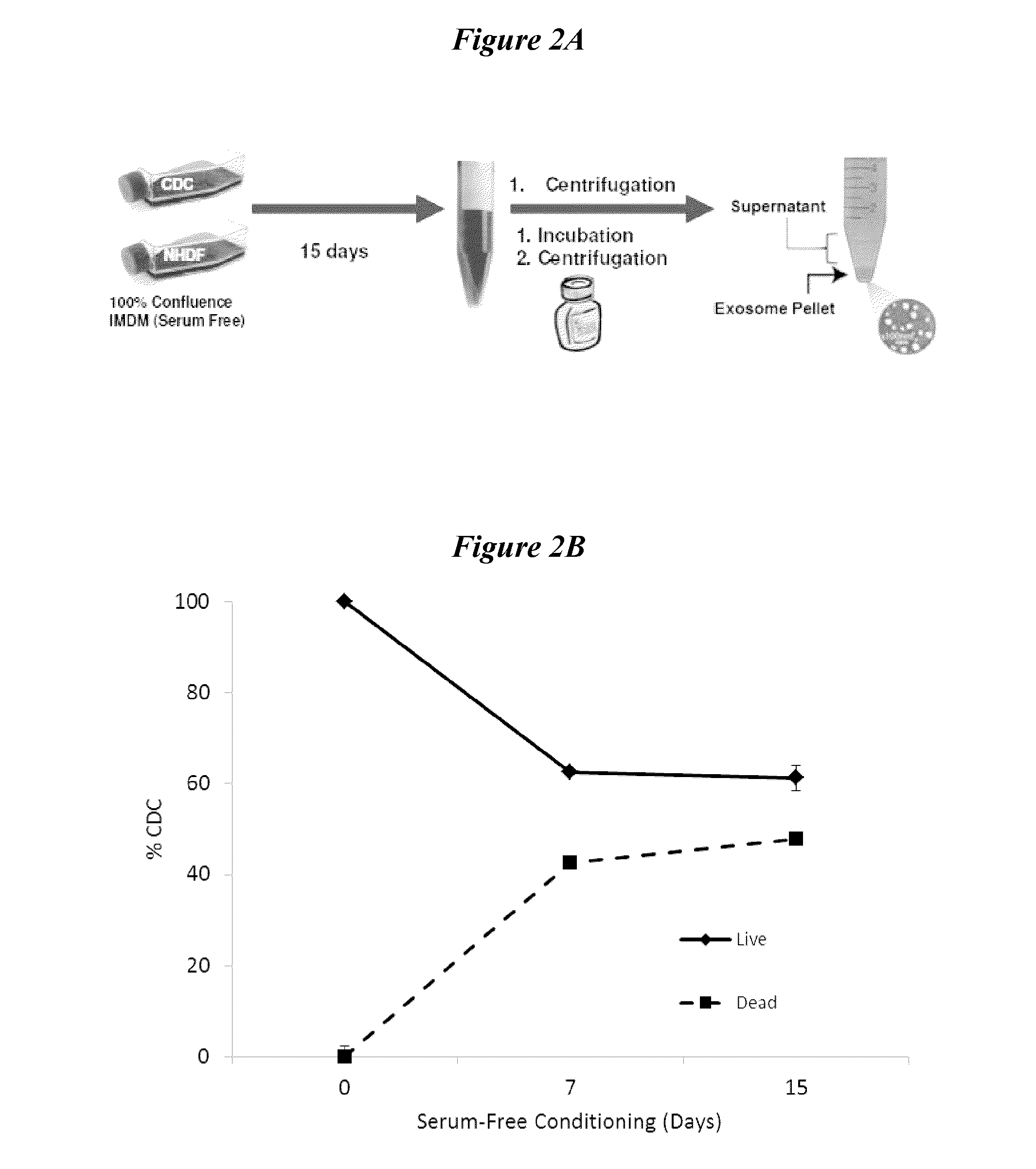 Exosomes and micro-ribonucleic acids for tissue regeneration