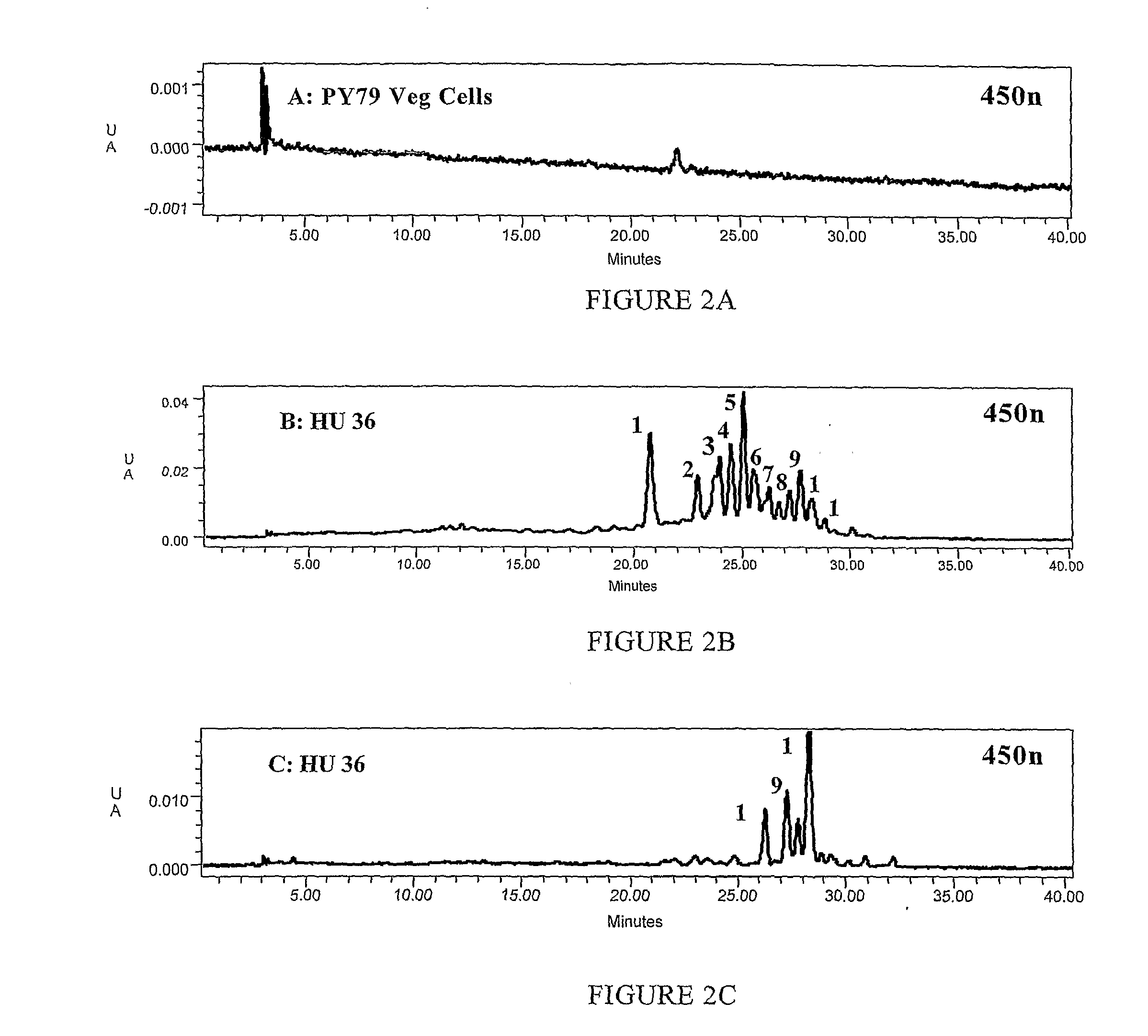 Bacterial Production of Carotenoids