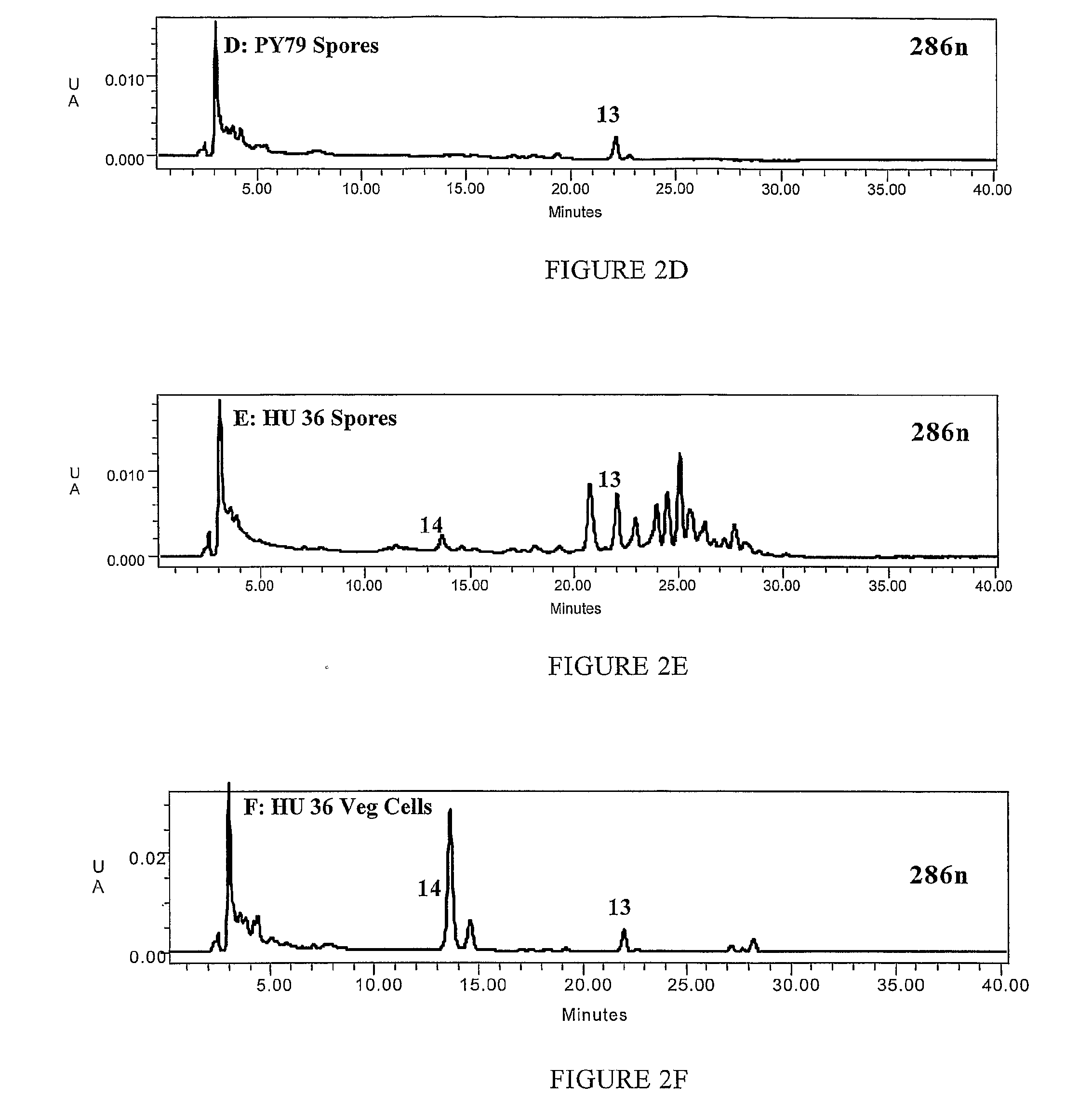 Bacterial Production of Carotenoids