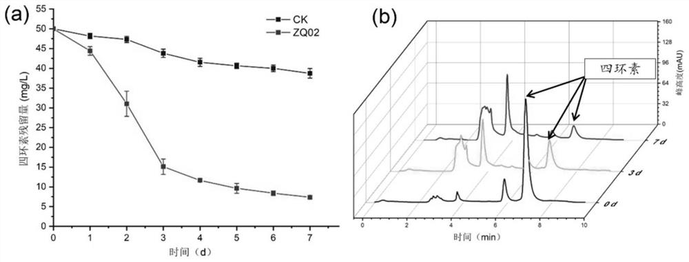 A Soil Proteus and Its Application