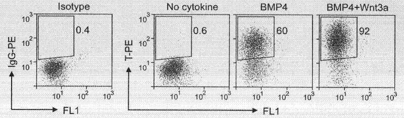 Preparation method of hemopoietic progenitor cells and special medium for the same