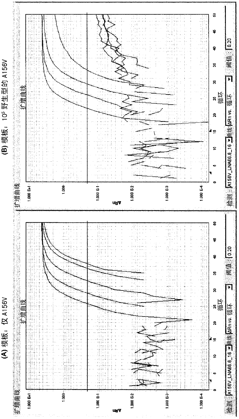 Probe set for identification of nucleotide mutation, and method for identification of nucleotide mutation