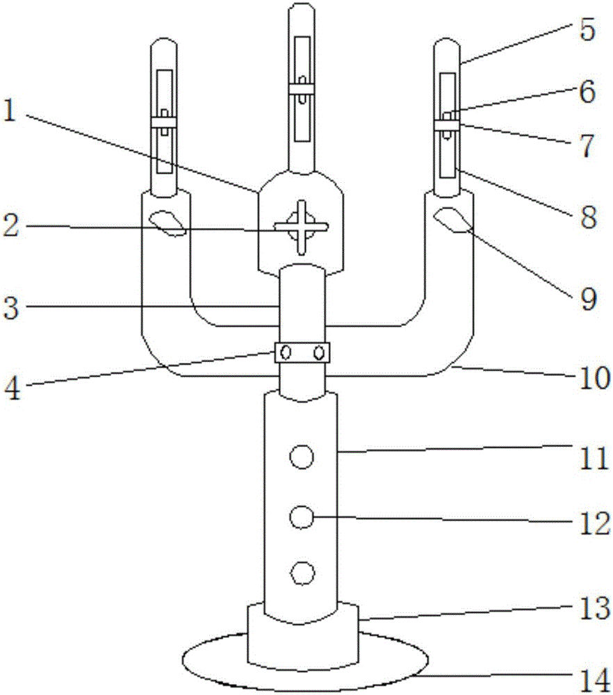 Multifunctional stable support