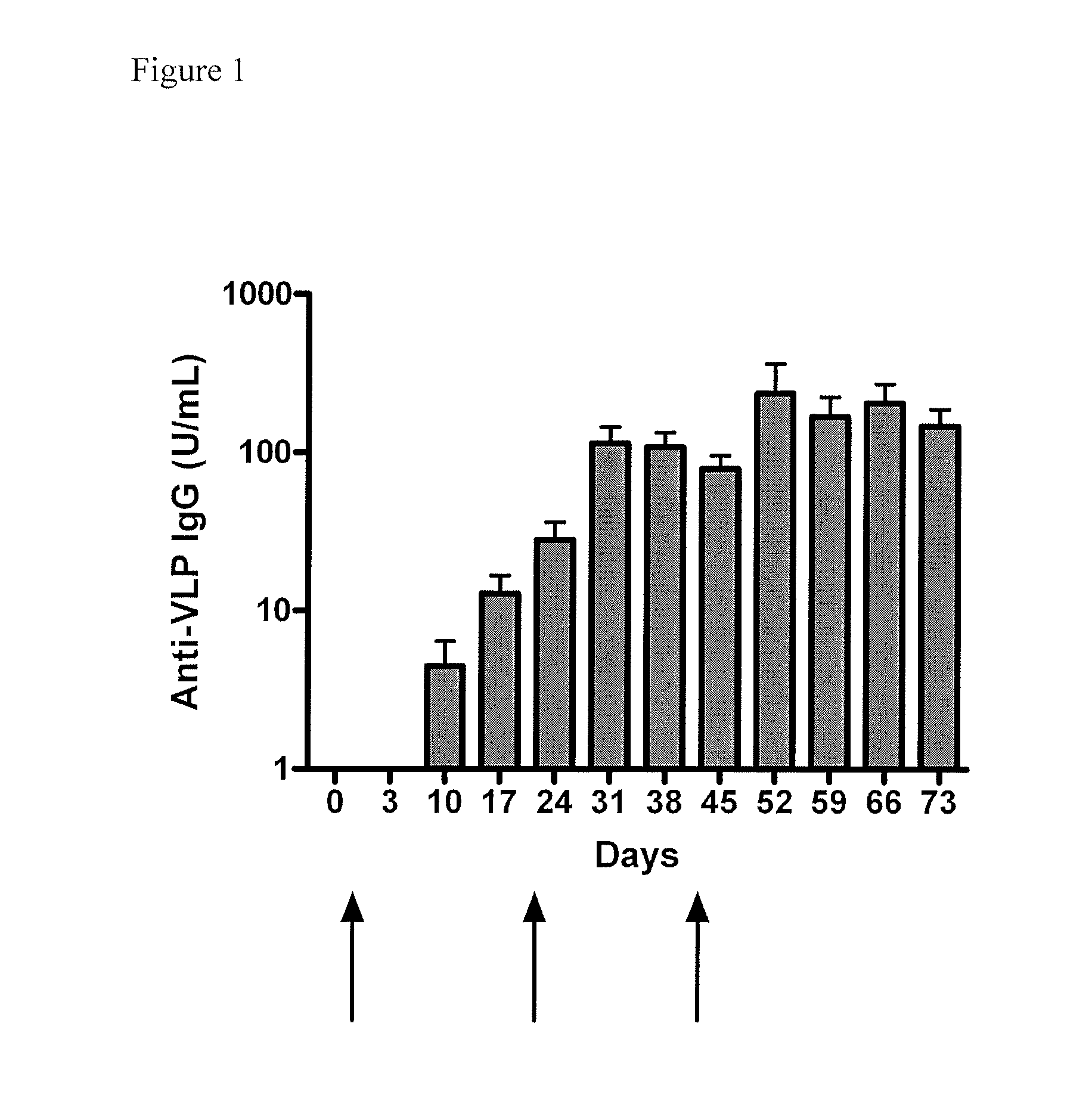 Method of conferring a protective immune response to norovirus