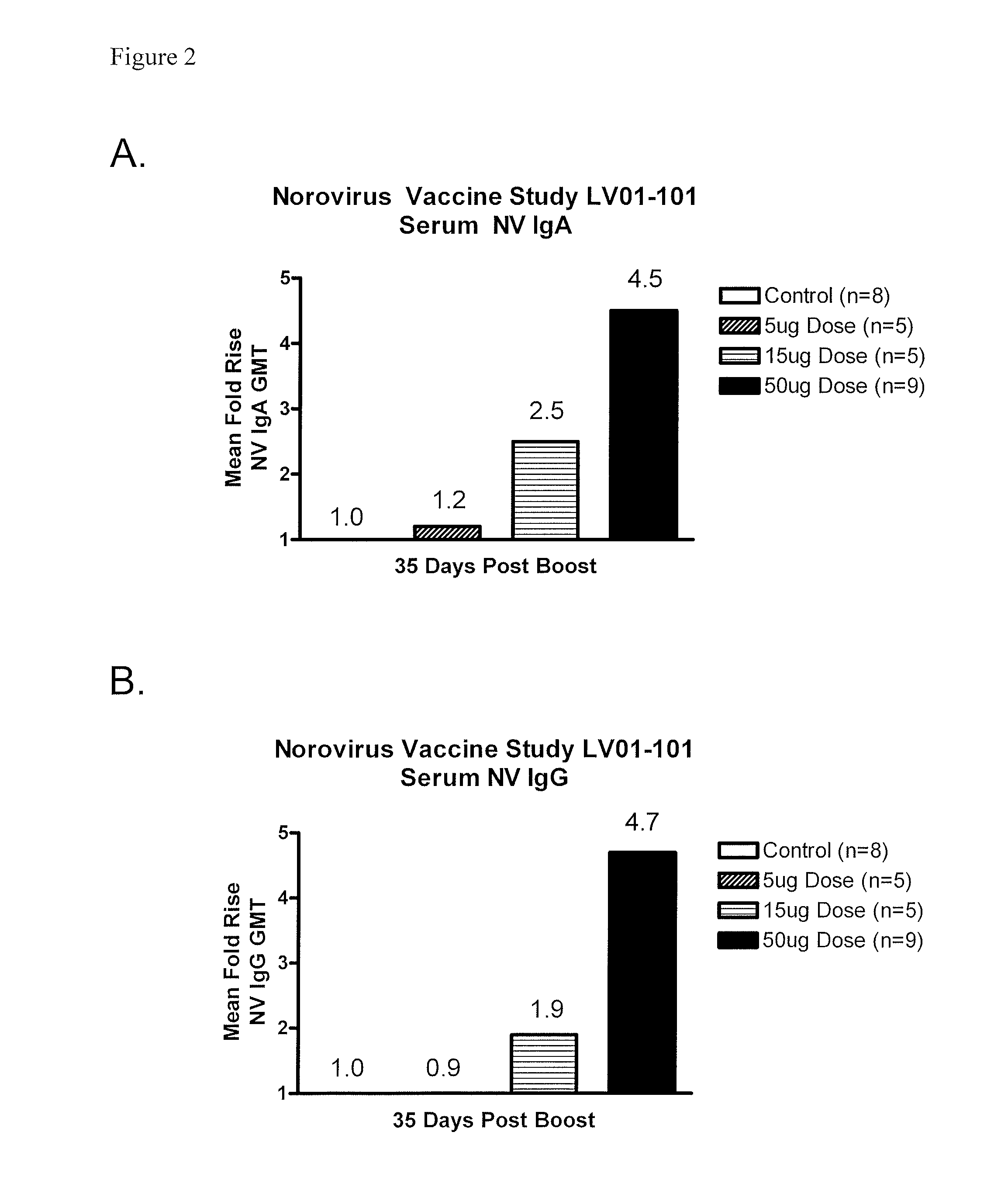 Method of conferring a protective immune response to norovirus