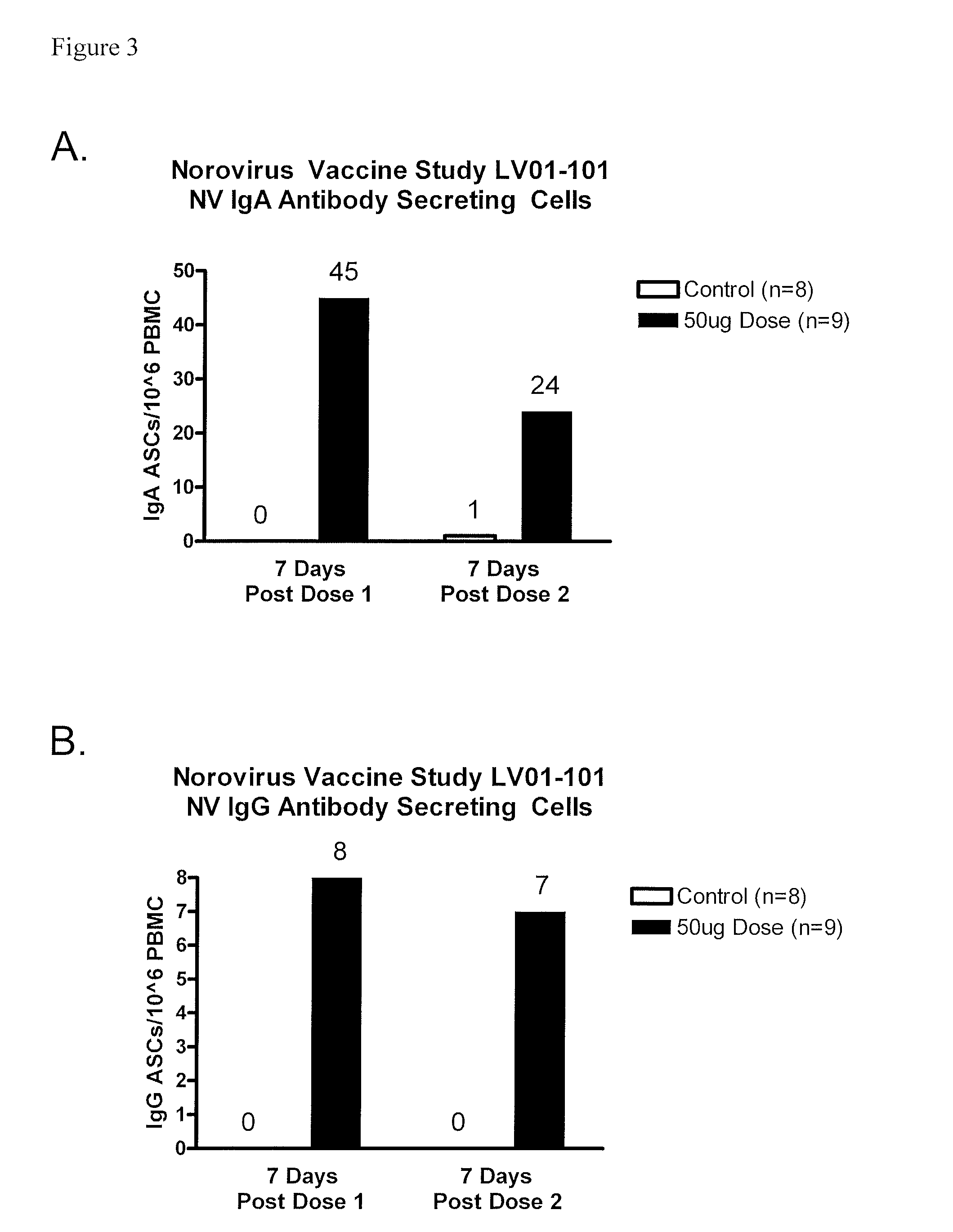 Method of conferring a protective immune response to norovirus