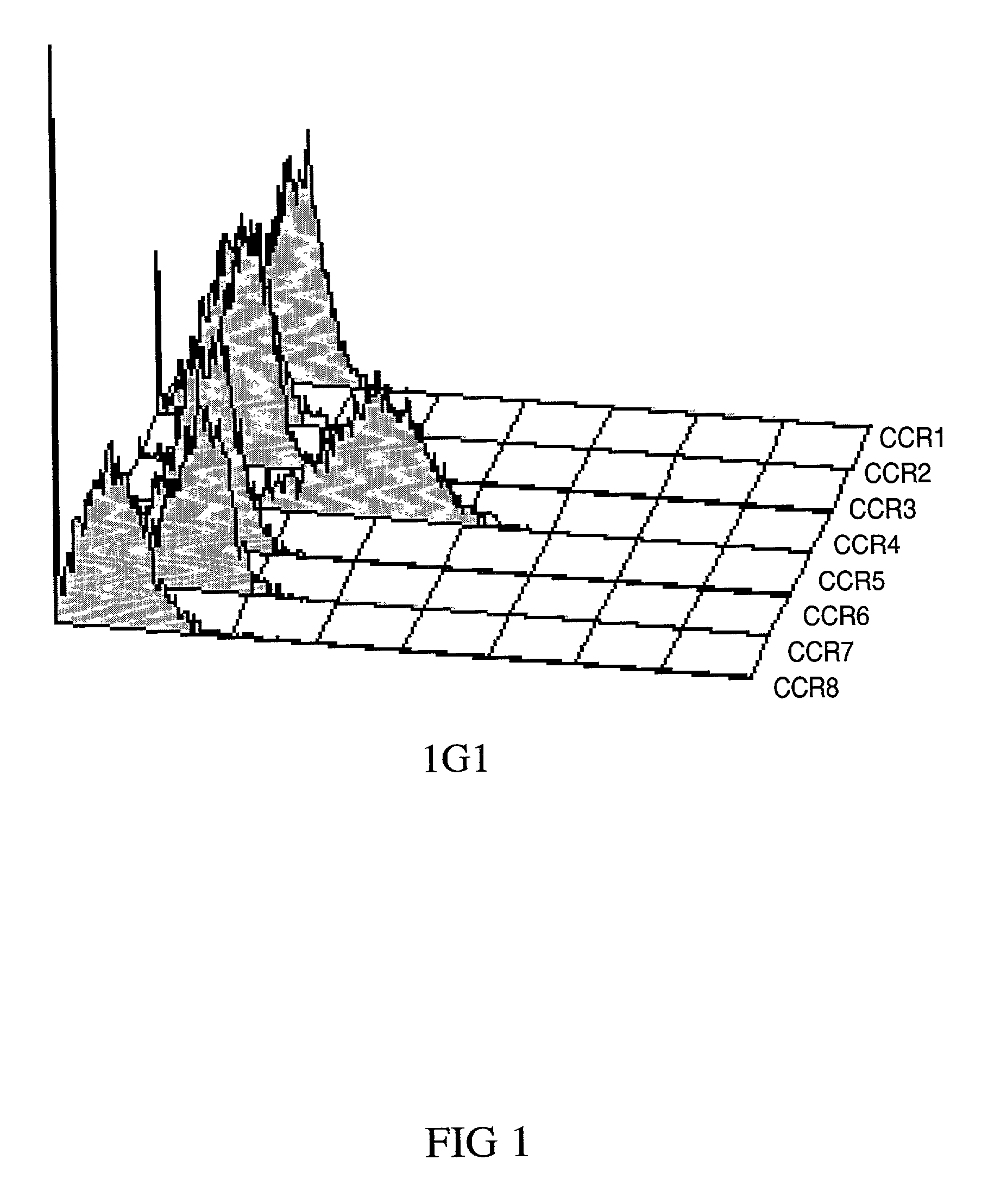 Anti-CCR4 antibodies and methods of use therefor