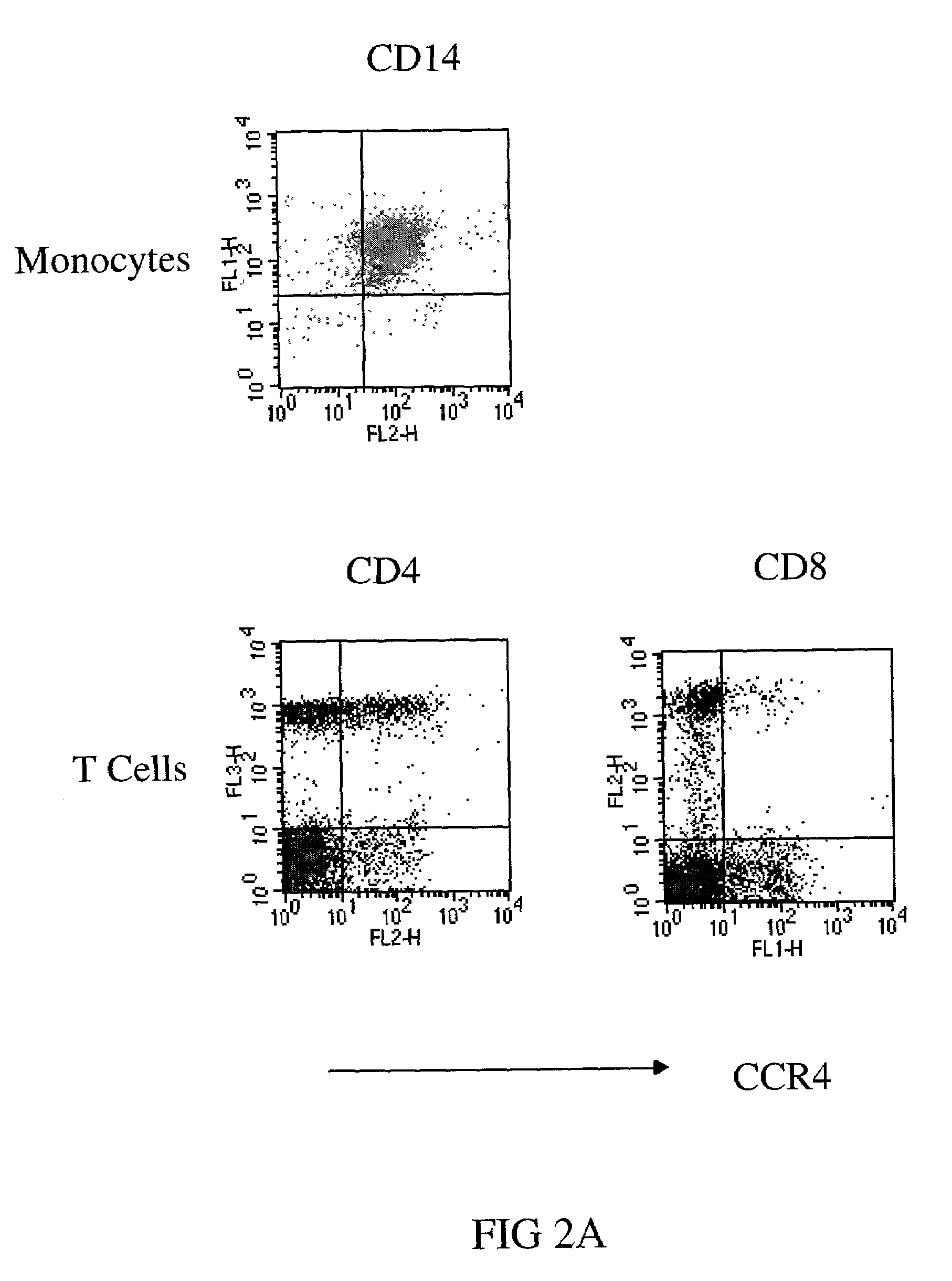 Anti-CCR4 antibodies and methods of use therefor