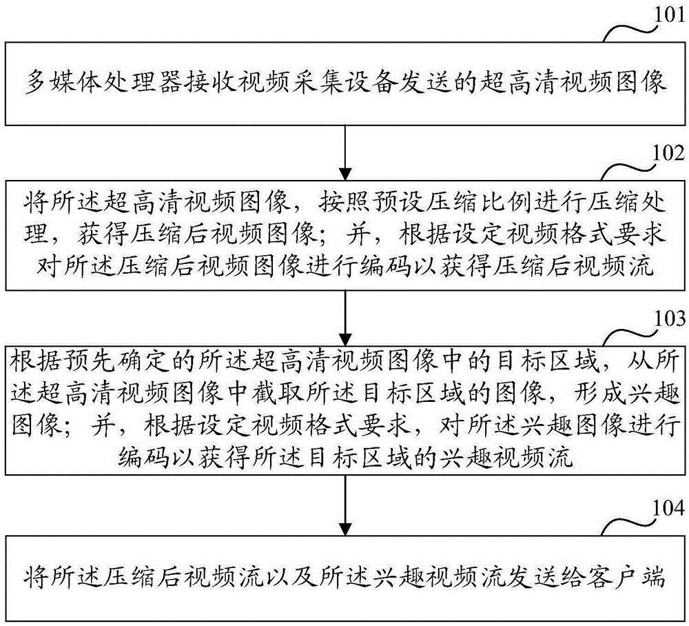 Video monitoring method and device