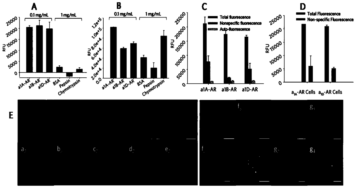 A class of environment-sensitive α1-adrenergic receptor near-infrared fluorescent ligands and their applications