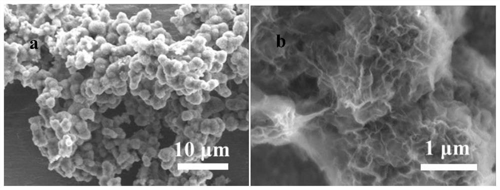 Preparation method and application of a nano flower spherical cobalt disulfide composite material