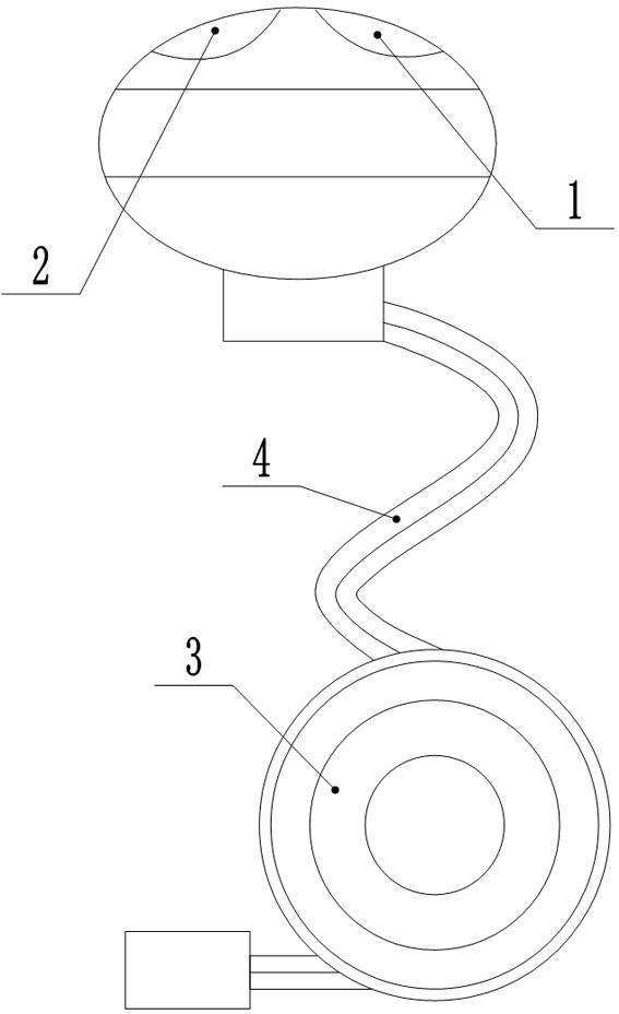 Multi-functional probe