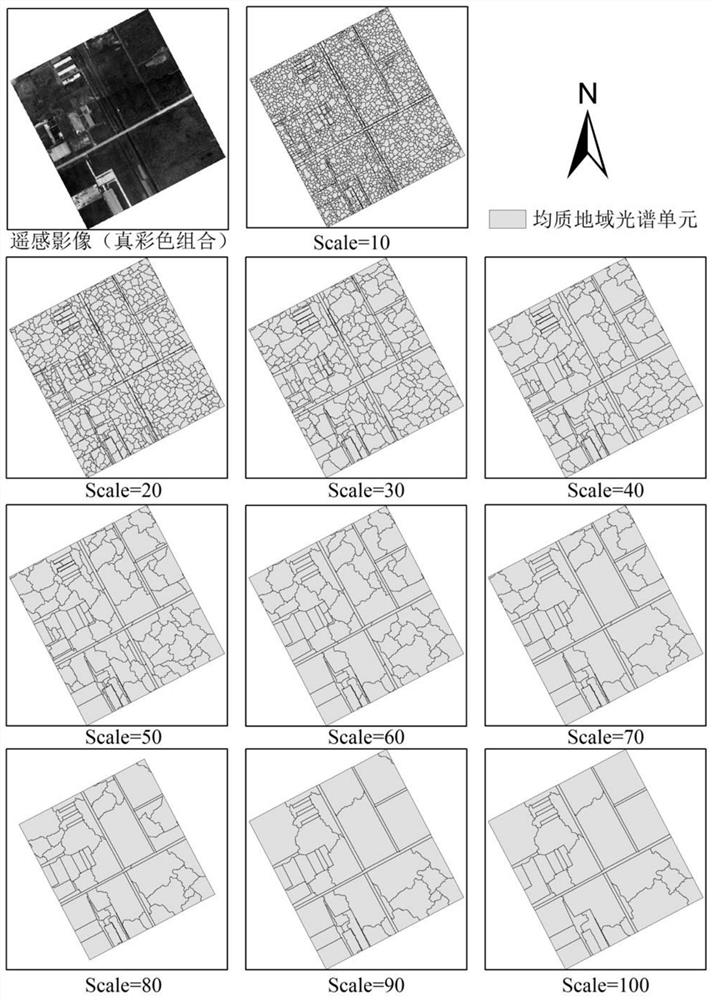 Aboveground Biomass Estimation and Scale Transformation Method for Homogeneous Regional Spectral Units