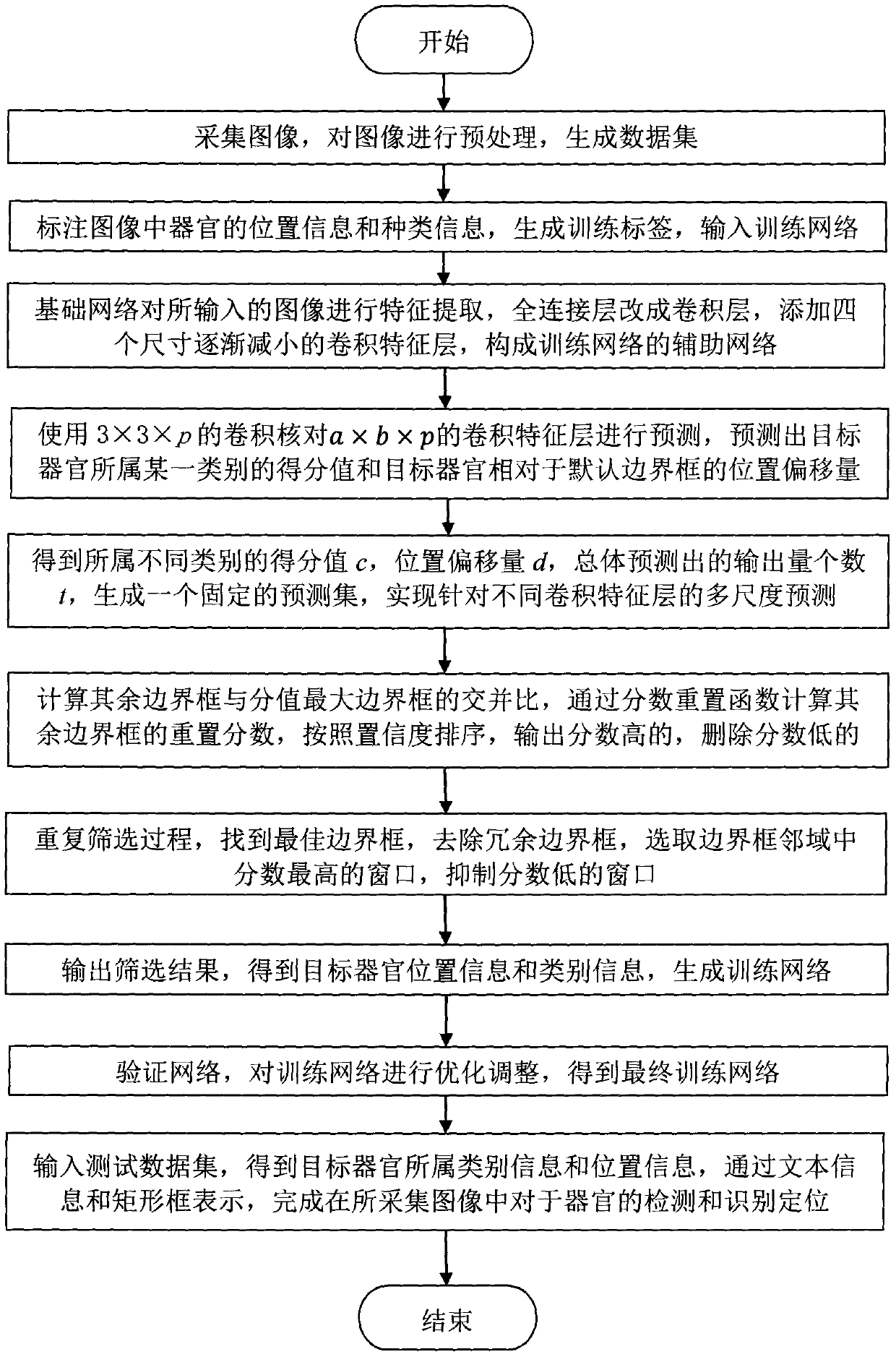 Organ detection and identification positioning method based on deep learning