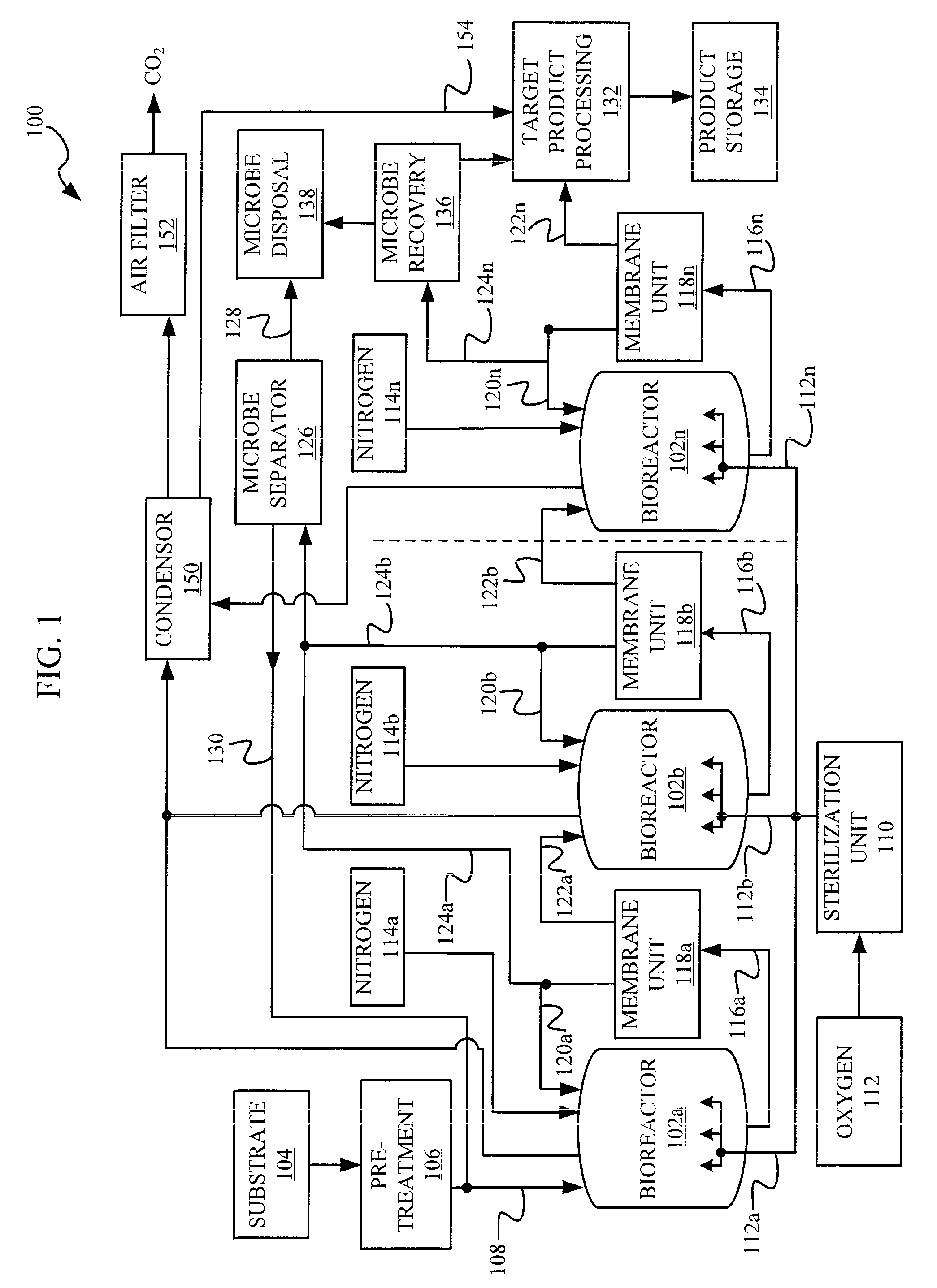 Fermentation processes and systems