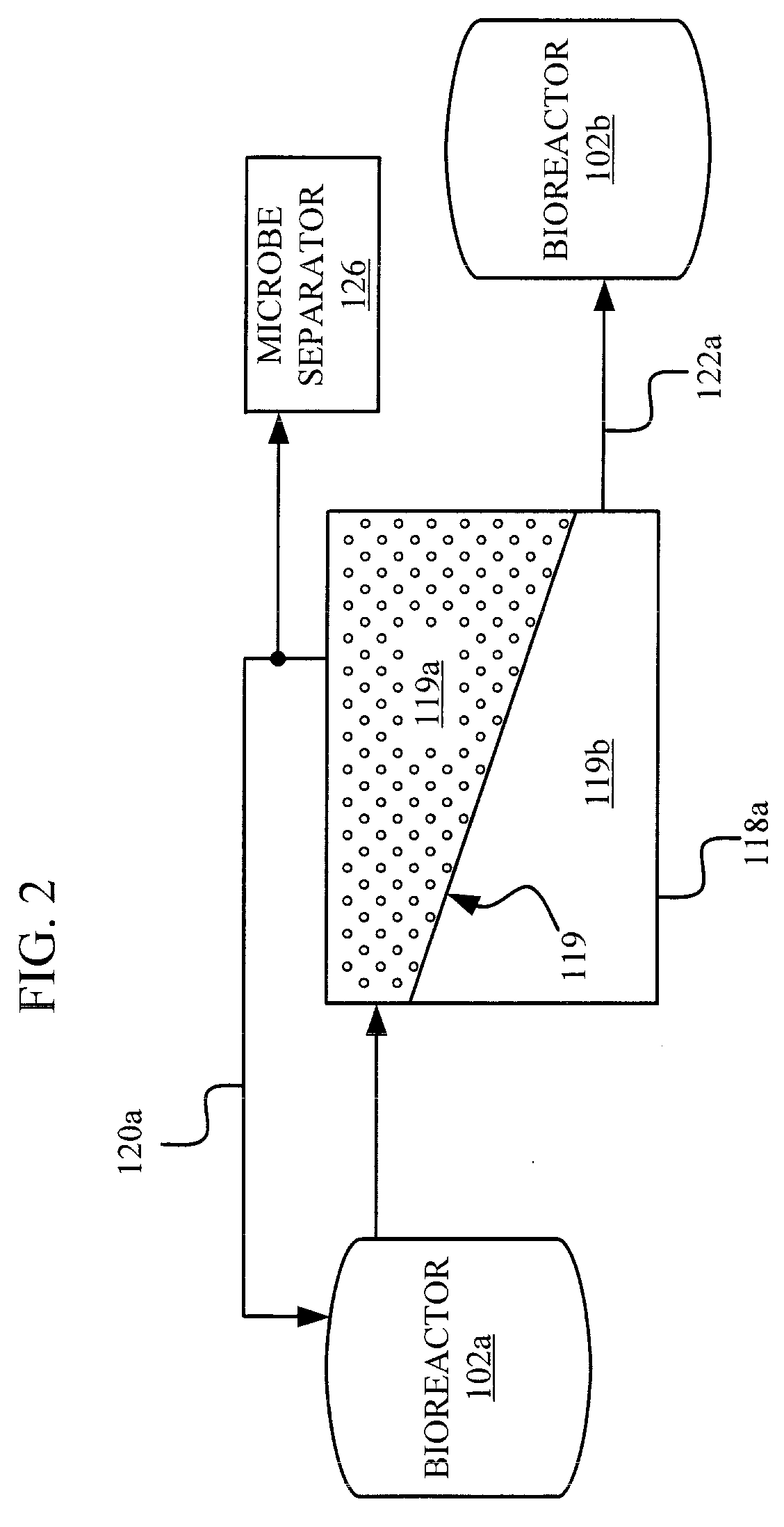 Fermentation processes and systems