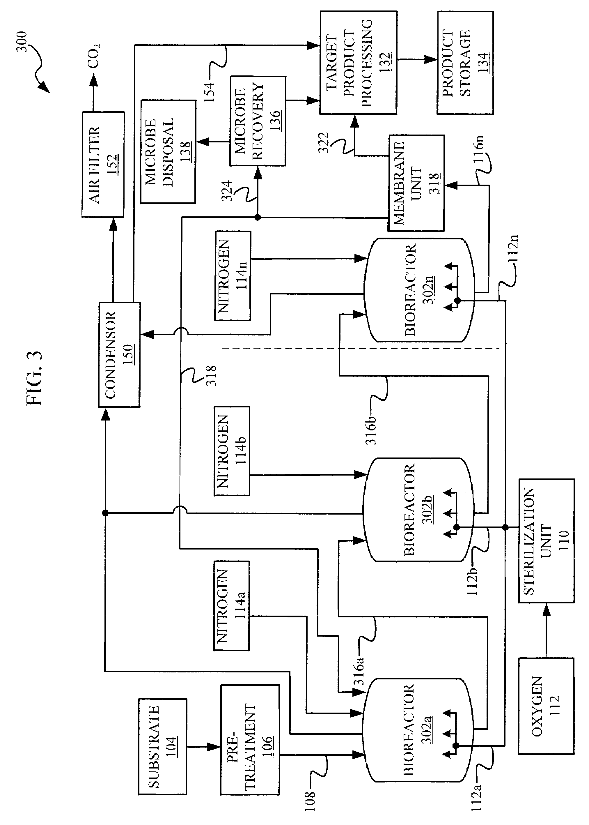 Fermentation processes and systems