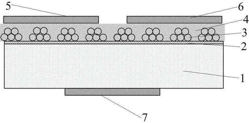 A kind of preparation method of metal quantum dot/organic semiconductor composite conductive channel thin film transistor