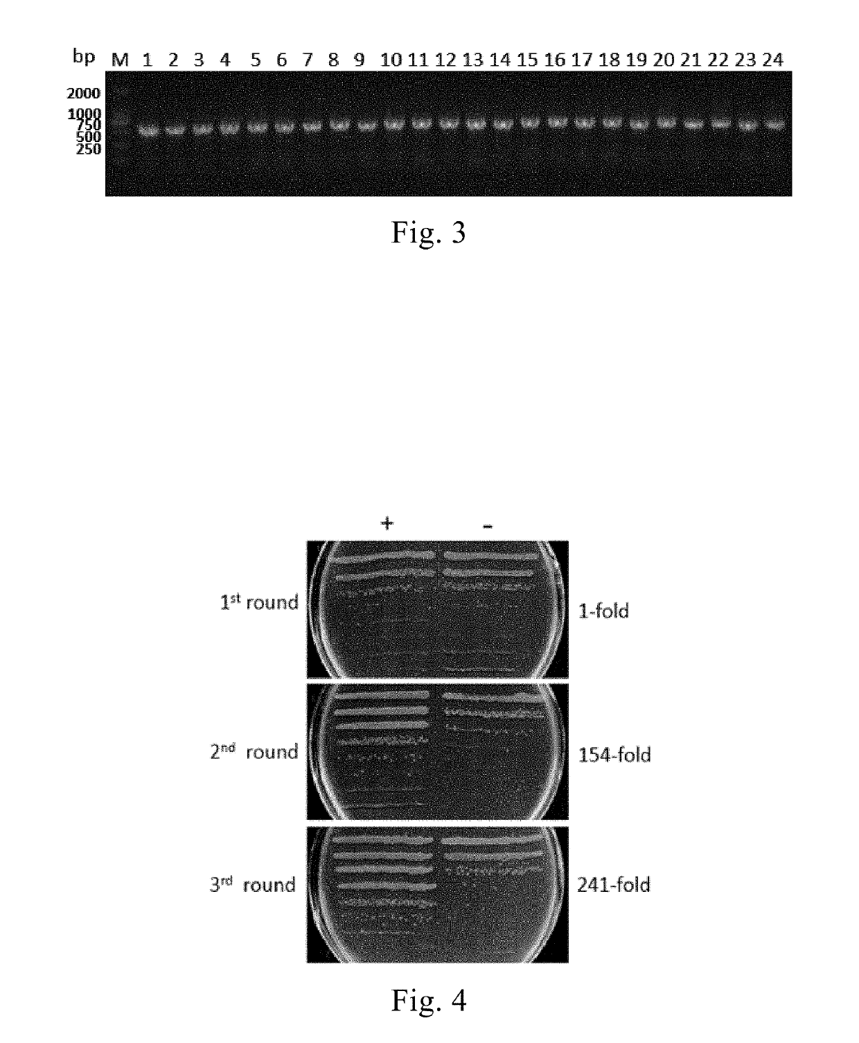 Anti-pd-1 nano-antibody and application thereof