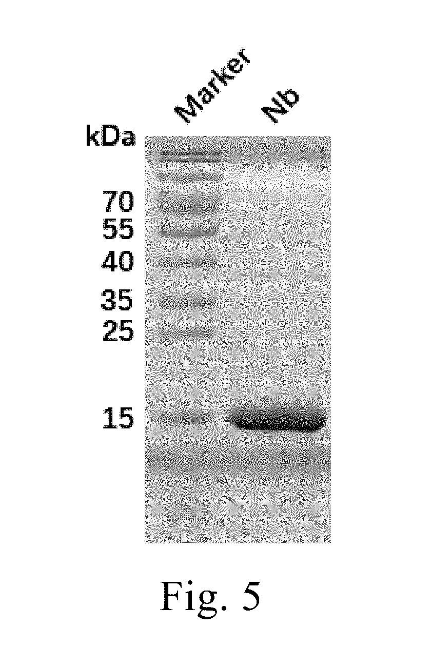 Anti-pd-1 nano-antibody and application thereof