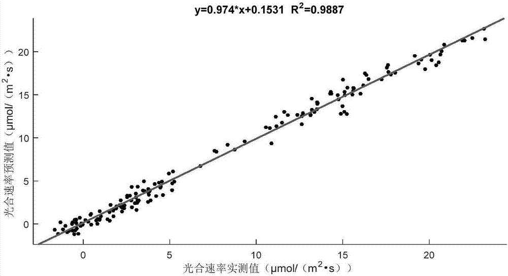 Efficient regulation and control method and system for light environment of hydroponic vegetables based on appropriate root temperature range