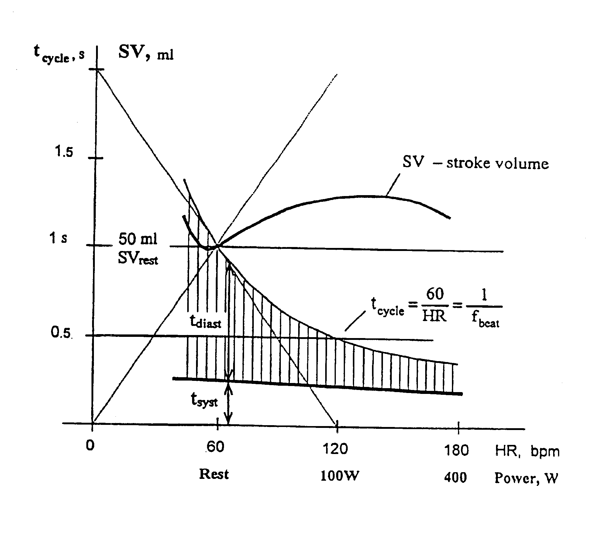 Rate adaptive pacemaker