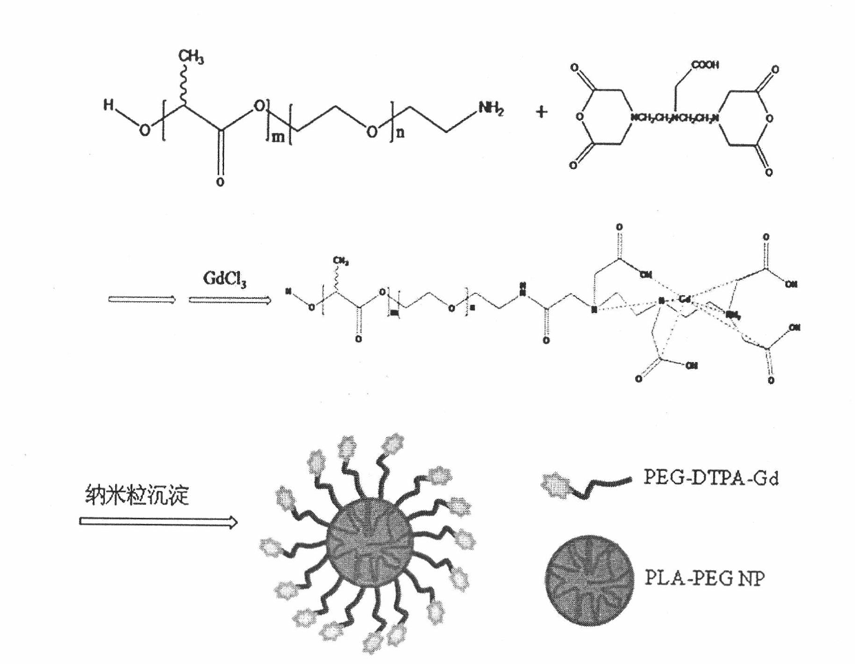 Polymer nanoparticle magnetic resonance contrast agent and preparing method thereof