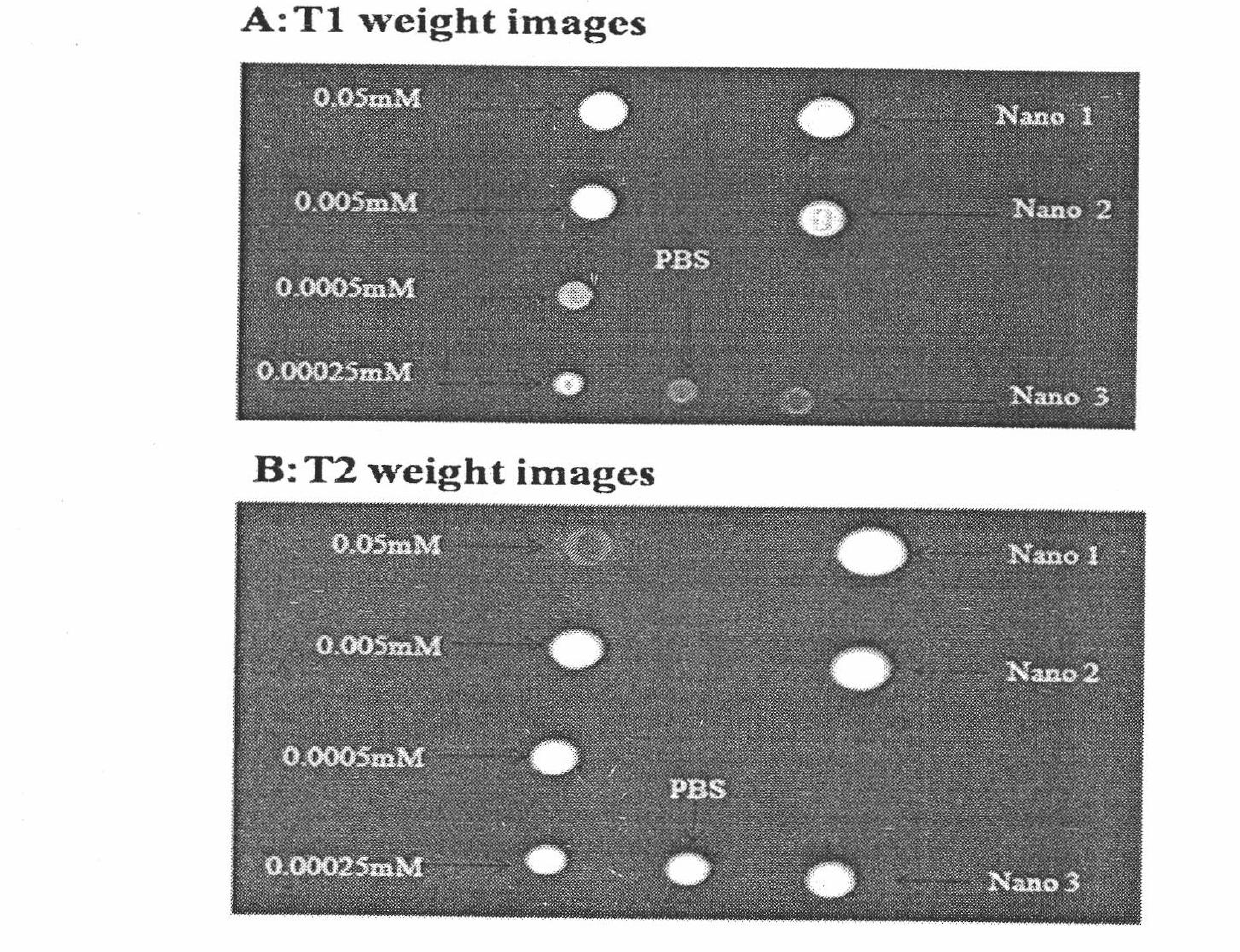 Polymer nanoparticle magnetic resonance contrast agent and preparing method thereof