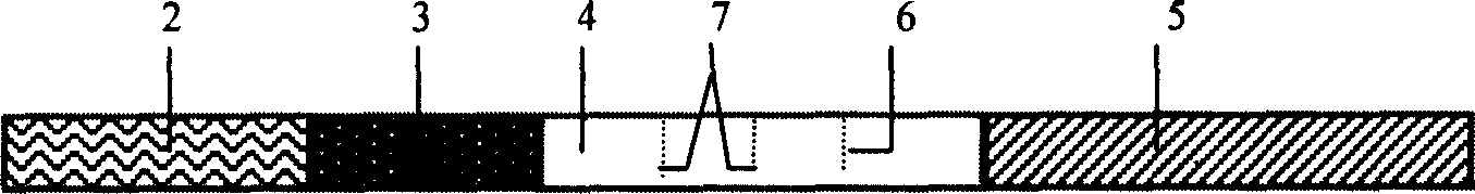 Sulfa drug multi-residual conjoined detection test paper box