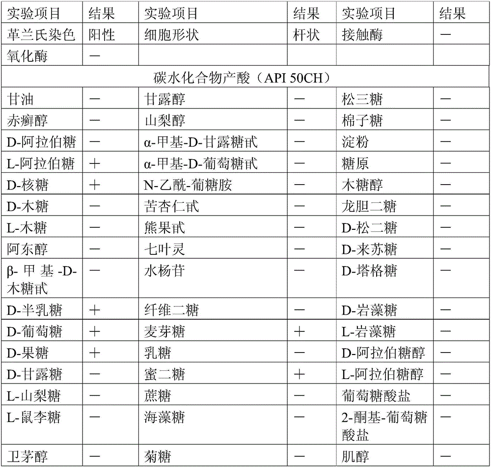 Kefir yoghourt with probiotic function and preparation method thereof