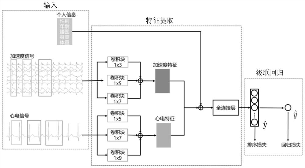 Energy metabolism assessment method based on wearable sensing information fusion and system thereof