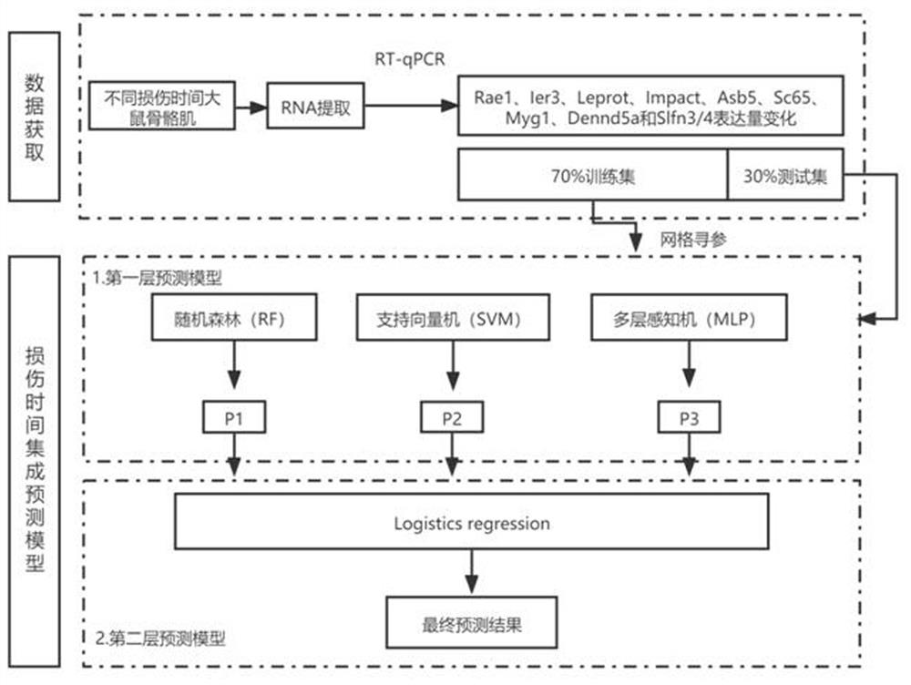 Skeletal muscle early injury time prediction method based on Stacking ensemble learning