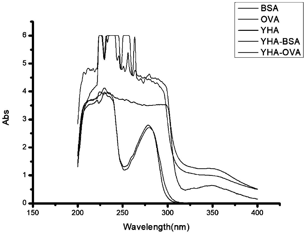 Yohimbine hapten YHA, artificial antigen and antibody thereof, and preparation and application thereof