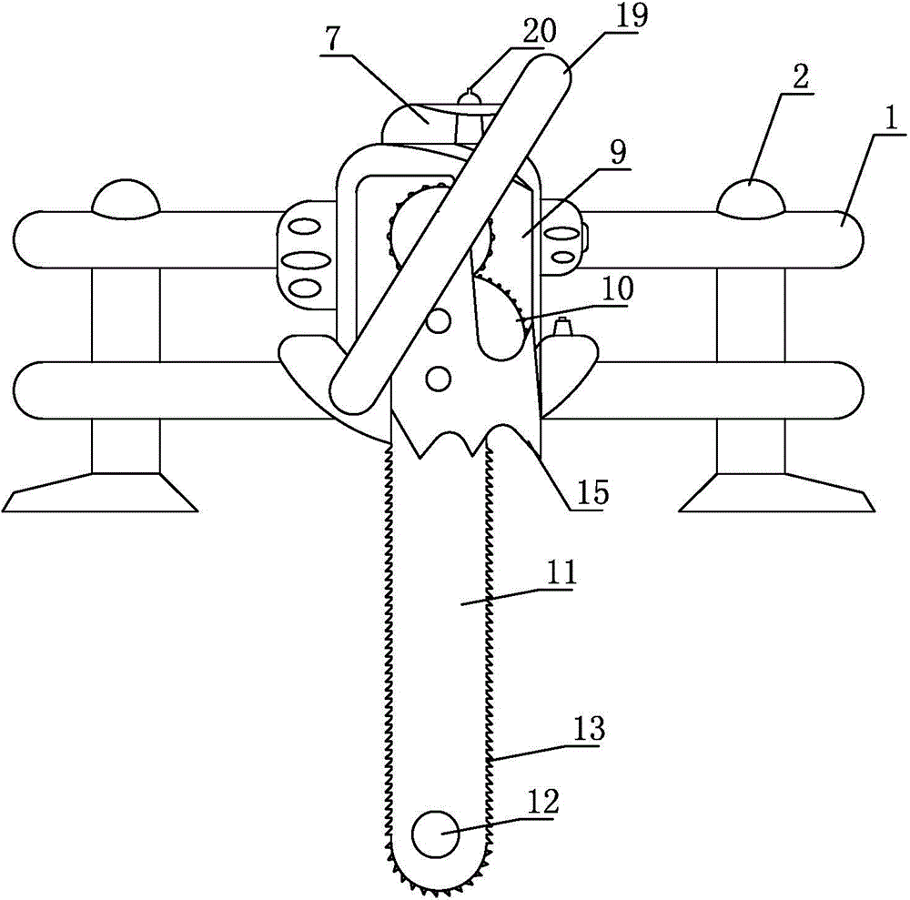 Wood seedling transplanter for forestry