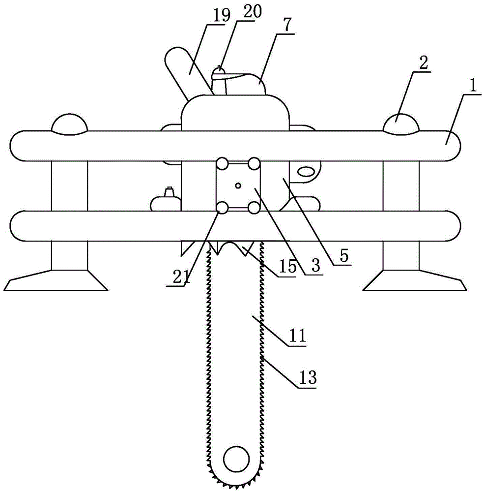 Wood seedling transplanter for forestry