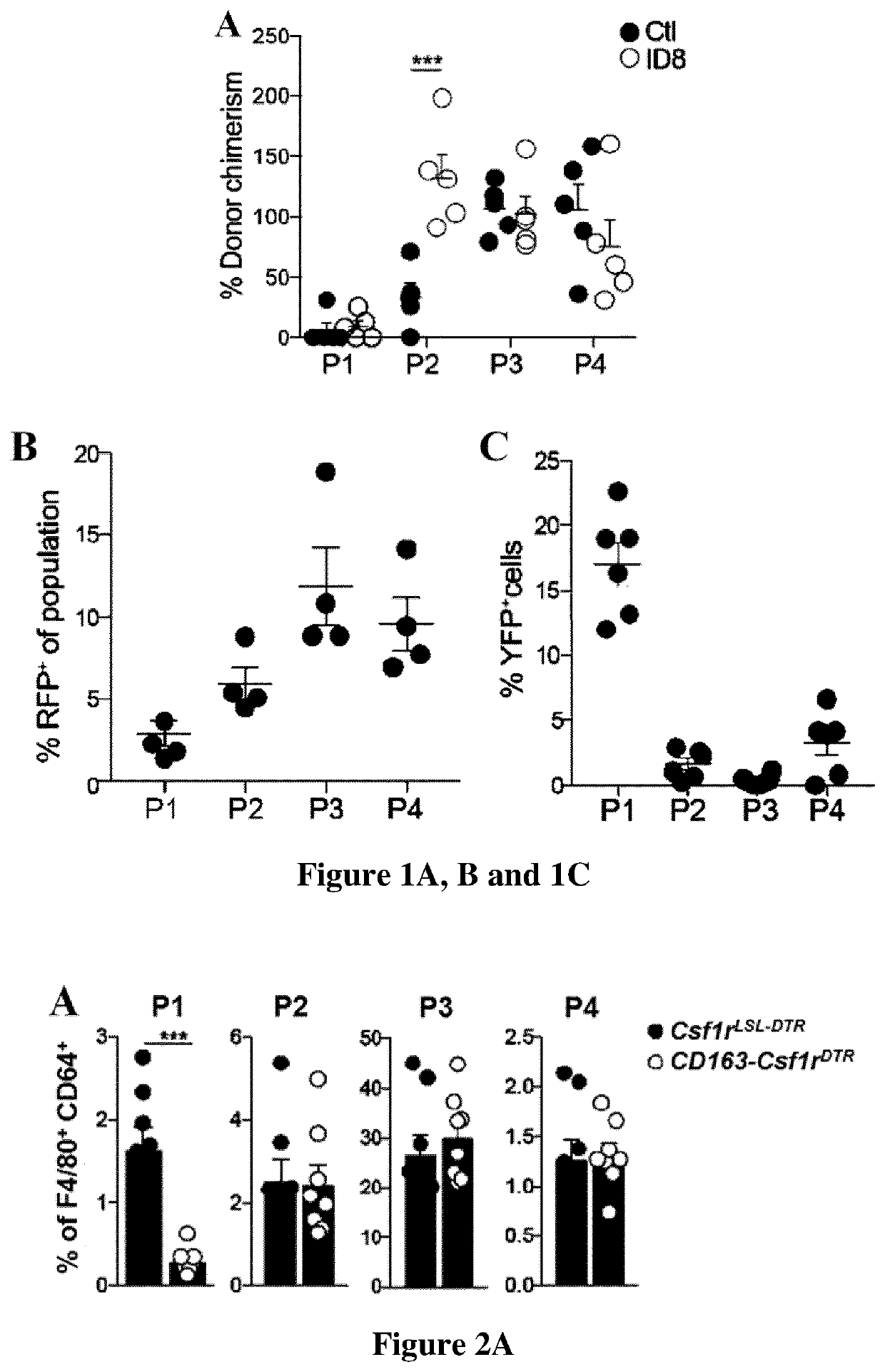 Methods and pharmaceutical composition for the treatment of ovarian cancer, breast cancer or pancreatic cancer