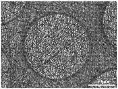 3D pseudo-skin construction method based on organs-on-chips and directional differentiation of induced pluripotent stem cells