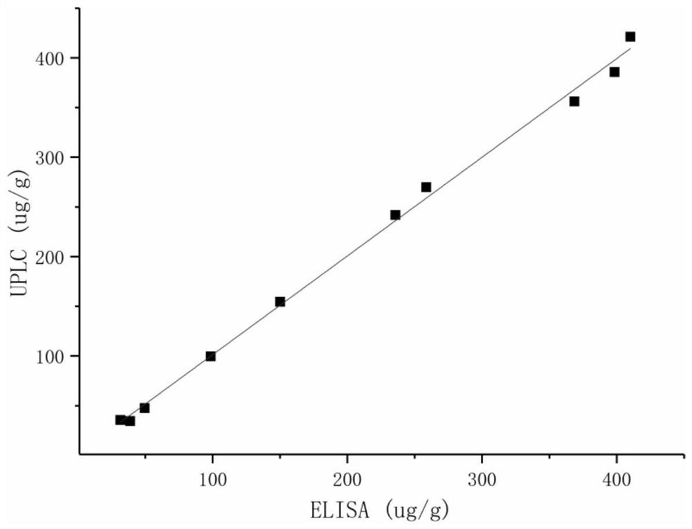 Hypoletin hapten, artificial antigen, preparation method thereof, antibody and application thereof