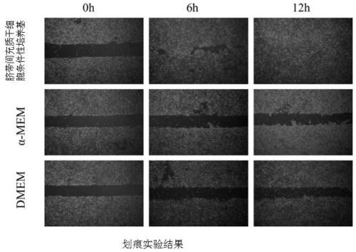 Skin repairing liquid and preparation method thereof