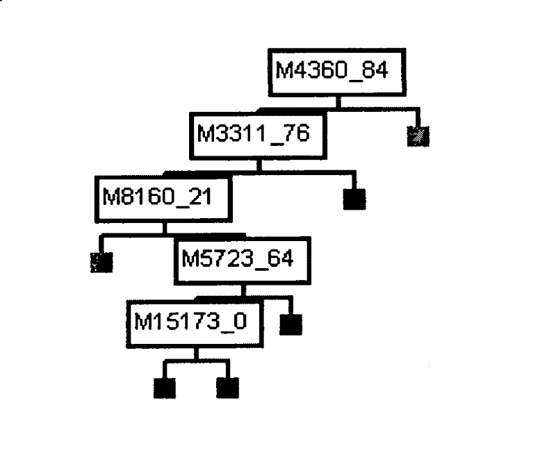 Serodiagnosis model establishing method for active tuberculosis disease