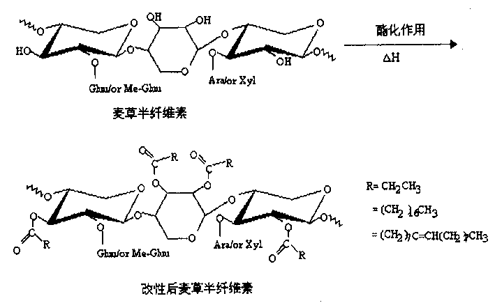 Homogeneous chemical modification of hemicellulose of stalks