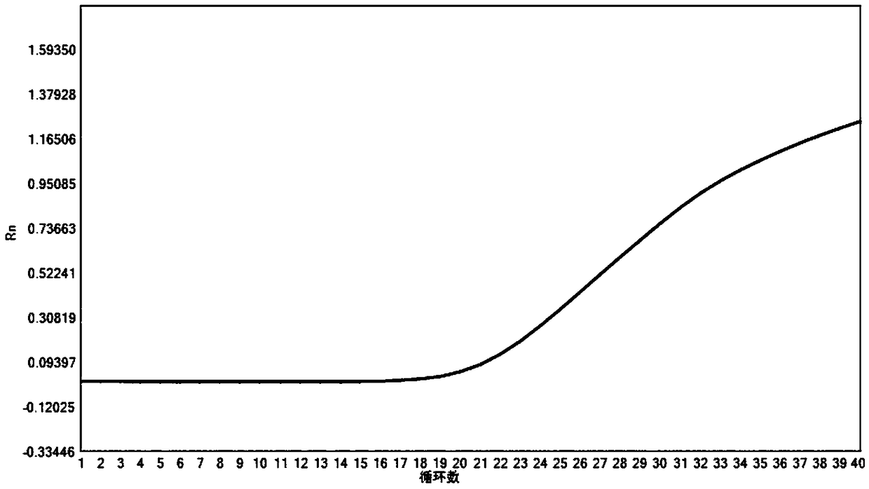 Composition for detecting human CYP2D6 gene polymorphism, kit, sample processing method and application