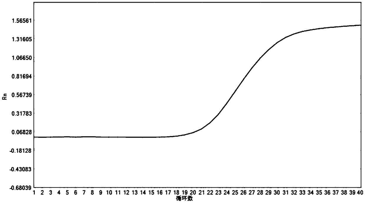 Composition for detecting human CYP2D6 gene polymorphism, kit, sample processing method and application