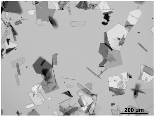 Preparation method of hundred-micron two-dimensional organic rubrene monocrystal nanosheet