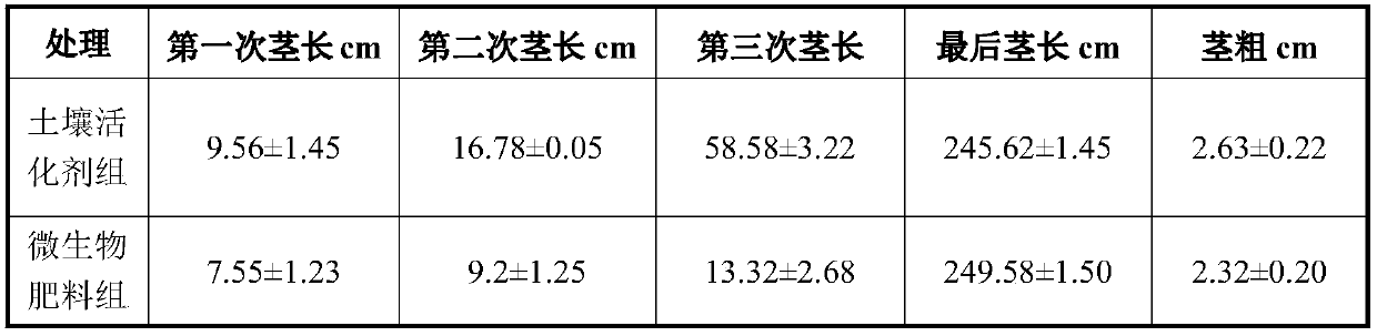 Soil nutrient activator applicable to improvement of saline and alkaline land and preparation method thereof